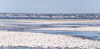 Online-Marketing, das sich herumspricht