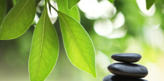 Ruhe und Harmonie in der Kunst